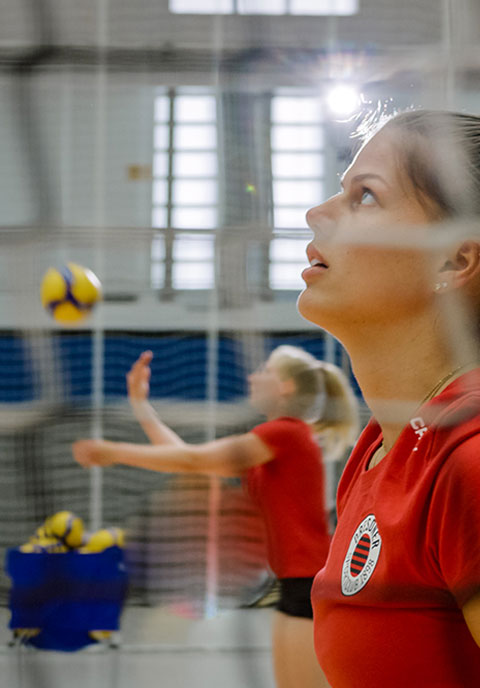Maillots de volleyball